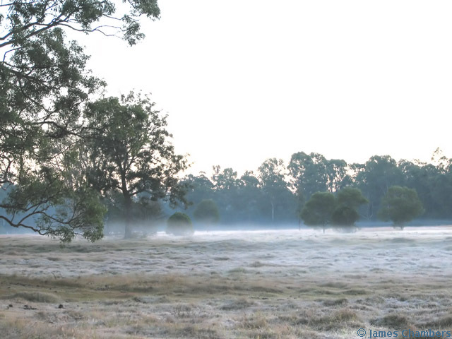 Frost and light mist.