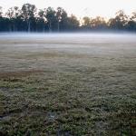 Light mist and frost.