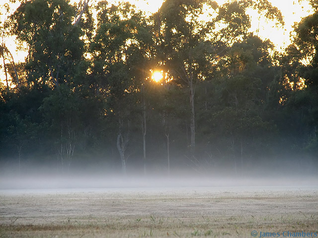 Light frost and mist at sunrise.