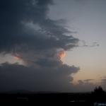 The developing Boonah cell.