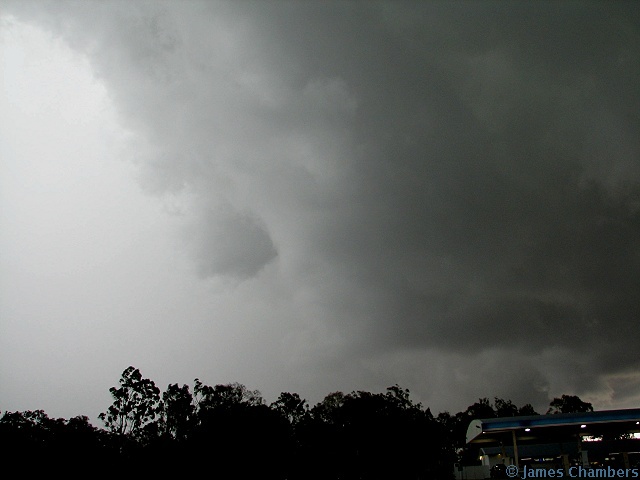 IMG0023w.jpg