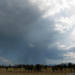 Diminishing raincurtain - but I stayed because it was the only storm around!