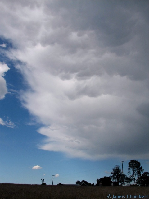 Some okay mammatus