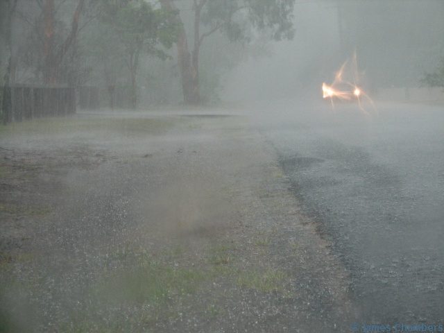 IMG0026w.jpg