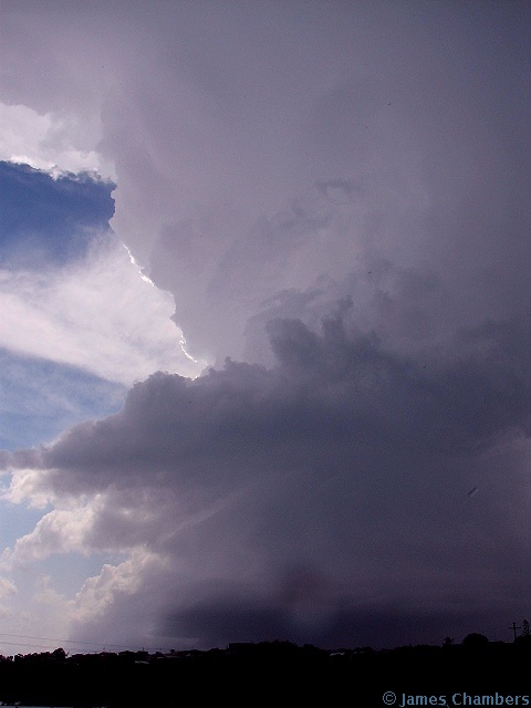 st000027w.jpg