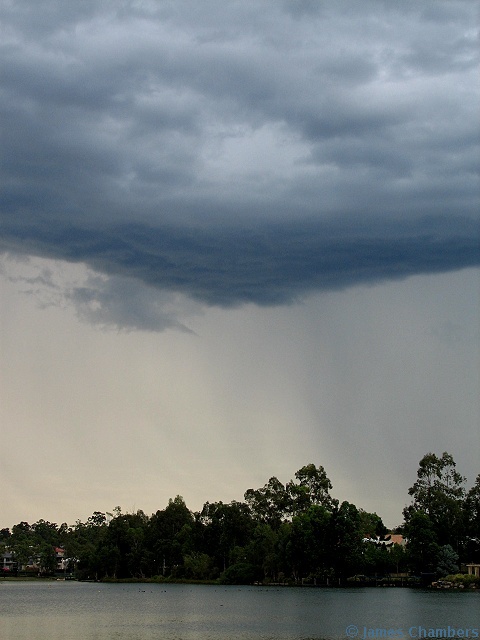 IMG0084w.jpg