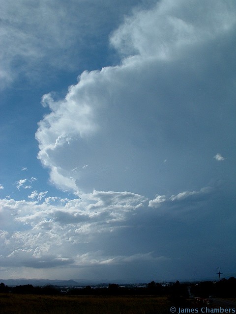 02005 0326AKw