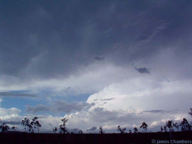 02005 0326BDw