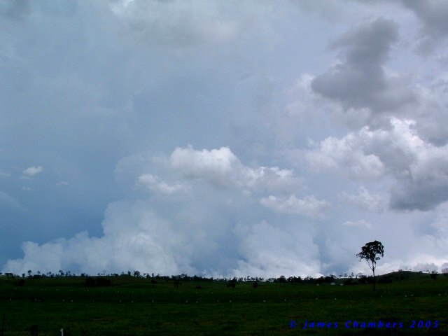 02005 1127CEw