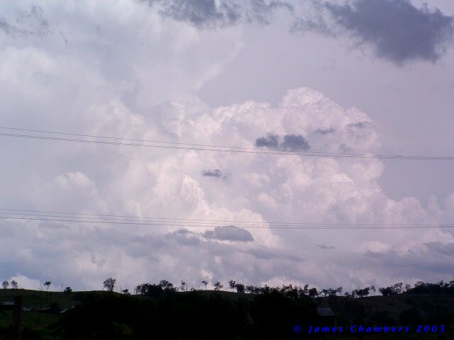 02005 1127CLw