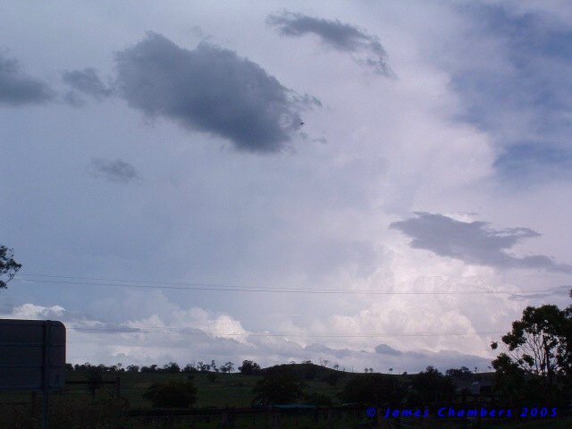 02005 1127CNw