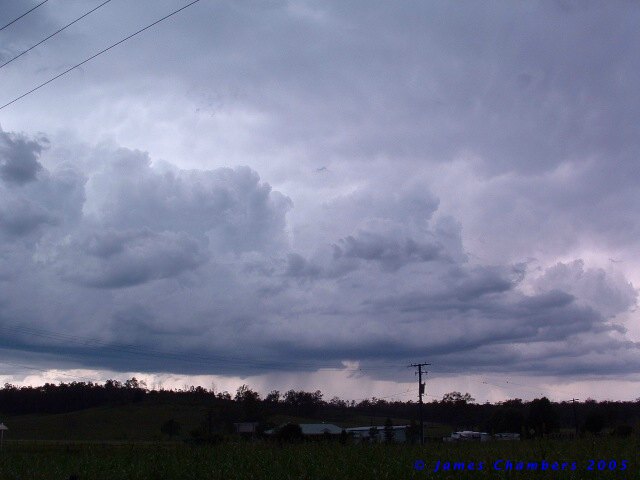 02005 1127CQw
