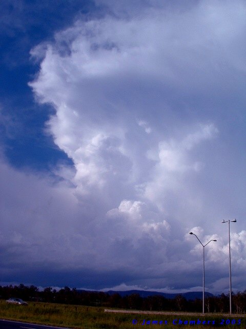 02005 1127FOw