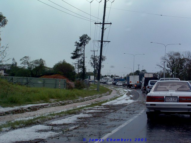 02005 1129BDw