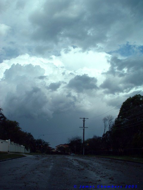 02005 1129BSw