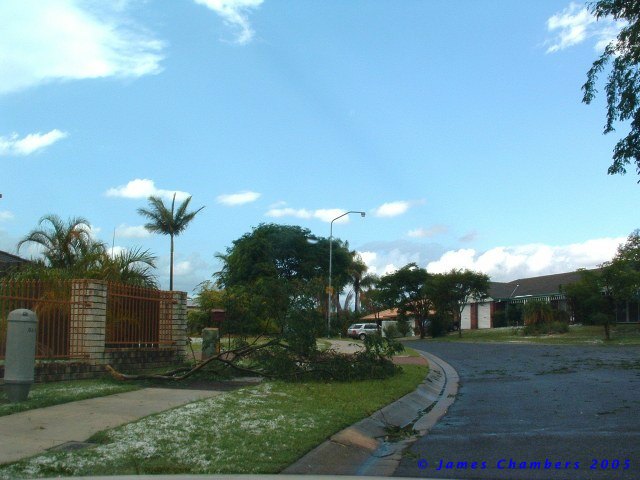 02005 1129BZw