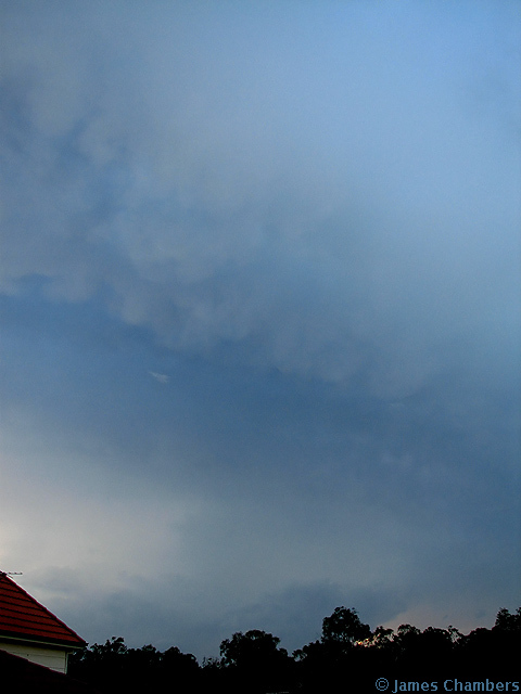 IMG0003w.jpg