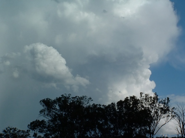 26120568w