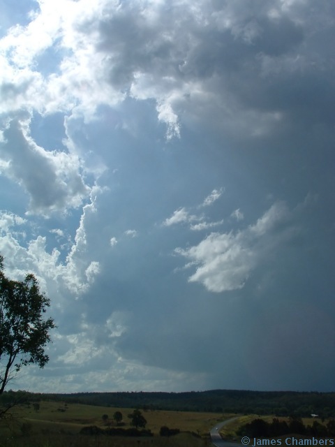 26120544w