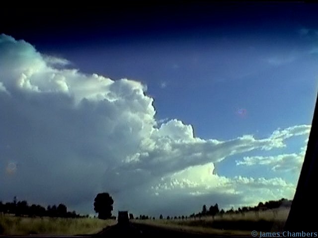 vid261205 j0001w