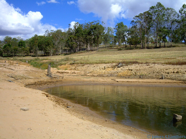 Looking towards picnic areas from the Wivenhoe 'beach'.