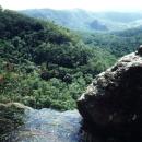 Ballanjui Falls in the Lamington National Park