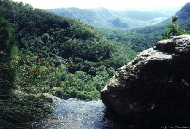 Ballanjui Falls in the Lamington National Park