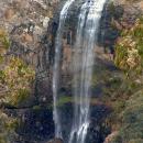 Ebor Falls