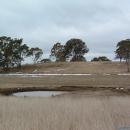 Snow melting in Guyra