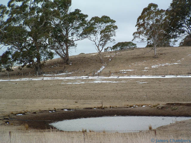 Snow melting in Guyra