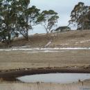 Snow melting in Guyra