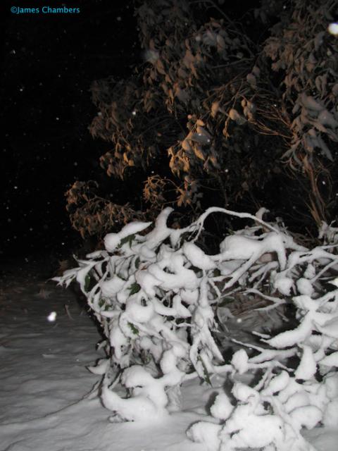 20070609_0239w.jpg