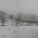 A panorama the next morning in an area 100-200m lower than the previous images.