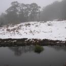 20070609_0188w.jpg