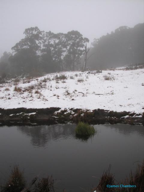 20070609_0188w.jpg