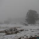 A beautiful scene... one that I'll remember for a long time! The second time I've seen snow, an easily the best!