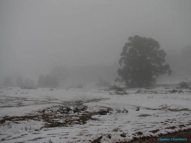 A beautiful scene... one that I'll remember for a long time! The second time I've seen snow, an easily the best!