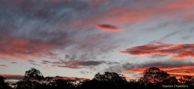 20070629pan1w.jpg