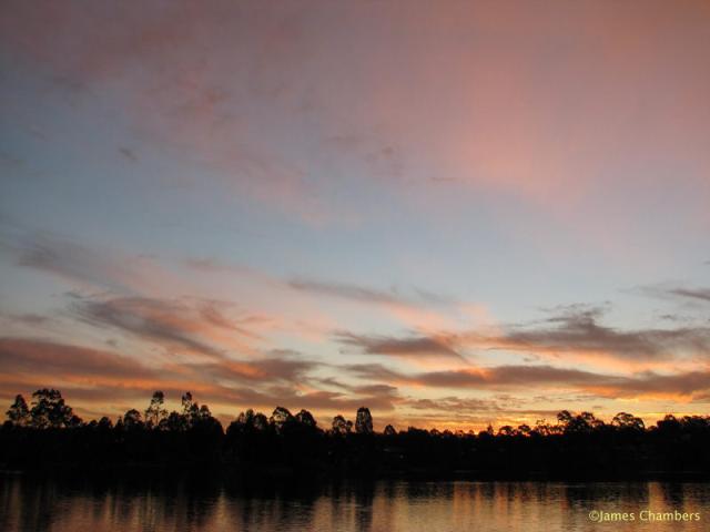280807_2494w.jpg