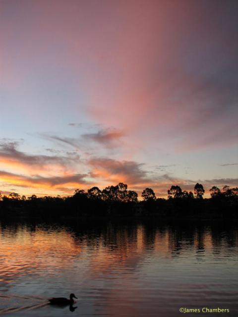 280807_2503w.JPG
