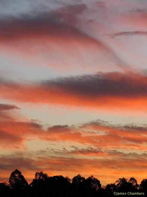 280807_2518w.jpg