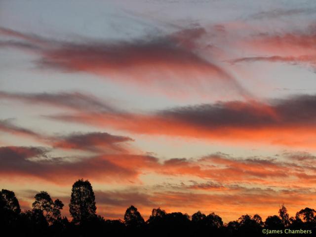 280807_2519w.jpg