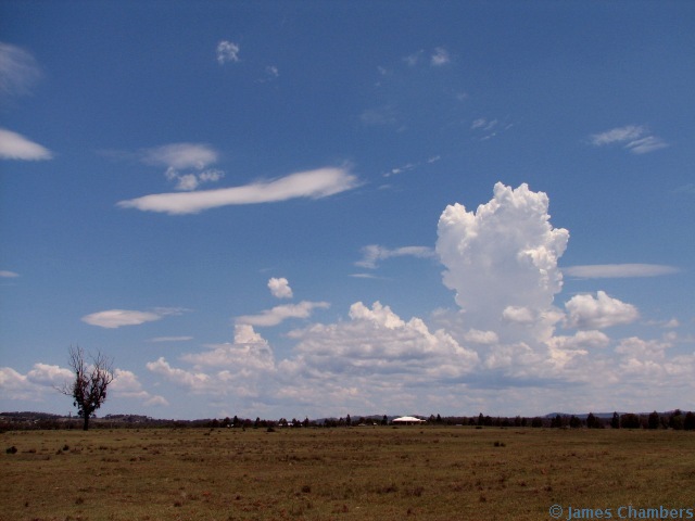 The first cell (yeah its a turkey) goes up on the Qld side of the border near Oakington