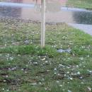 Quite a lot of hail fell. Nearly all hail was about 2cm. Some sounded much bigger!