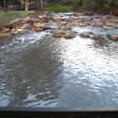 Water flows into Forest Lake