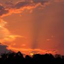 Rays at sunset