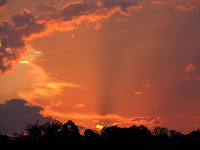 Rays at sunset