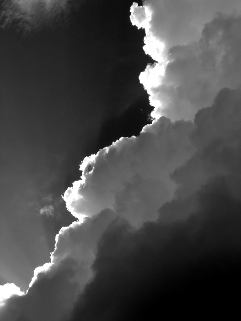06022608b&w