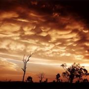 Awesome mammatus at Colliope, Central Qld December 2002.