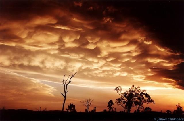 Awesome mammatus at Colliope, Central Qld December 2002.